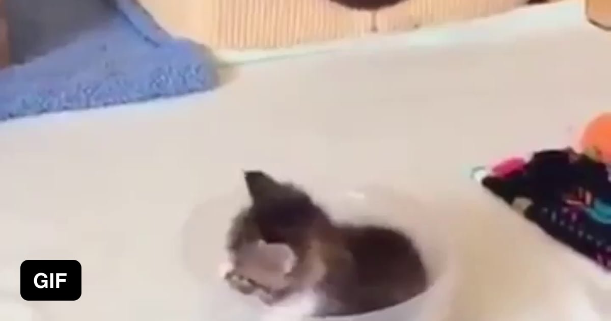 Kittens make everything better - 9GAG