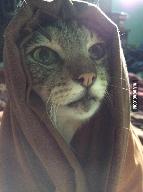 Khajiit has wares if you have coin - 9GAG