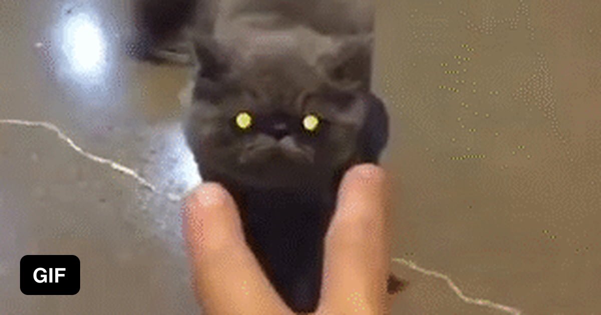Why is this so satisfying?! - 9GAG