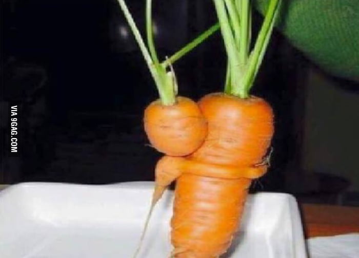 Poor baby carrot is ripped from mom's arms to feed a vegan! Let's