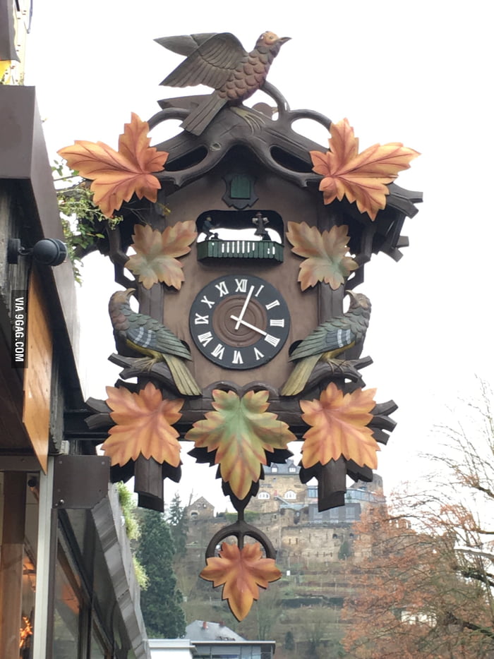 World's largest freehanging cuckoo clock. Germany, Sankt Goar 9GAG