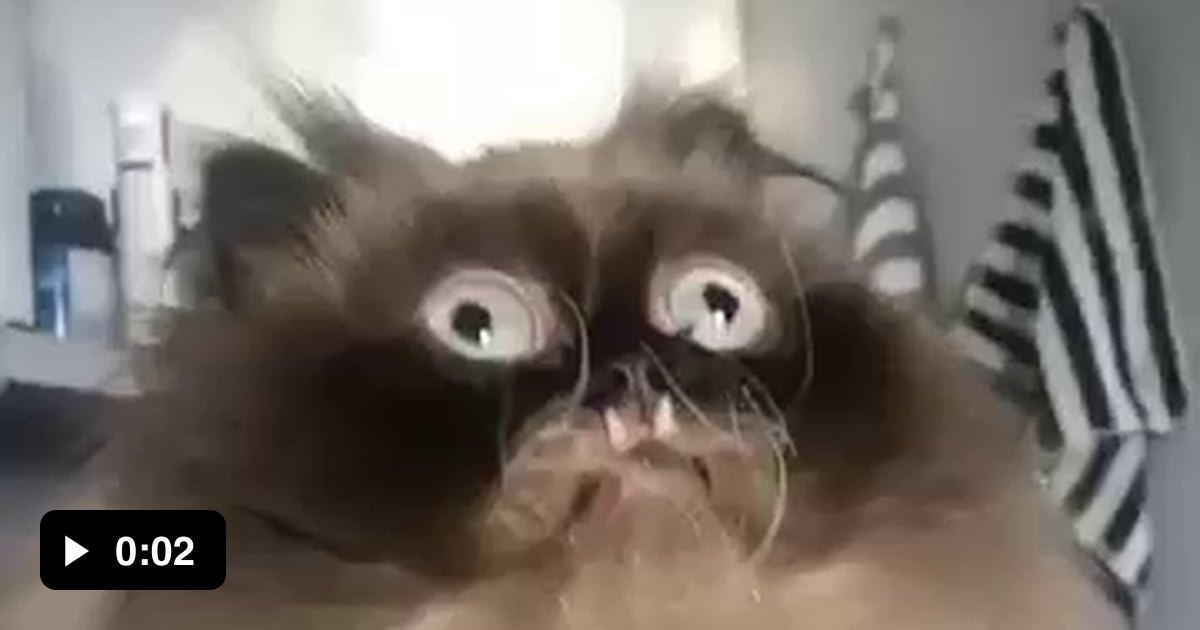 From Confused Derp To Evil Gromp In 1 Sec 9GAG