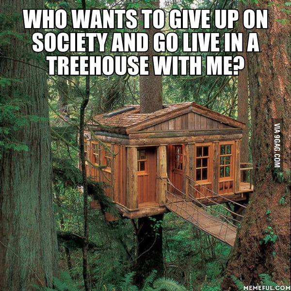 Not a treehouse but let's travel the world on foot. trust me.. we can ...