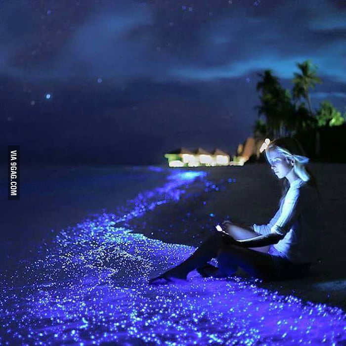 sea of stars tourist attraction in the maldives