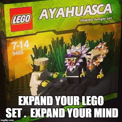 Found this lego inside a jungle, inside a that wasnt -