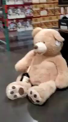 drunk teddy bears at costco