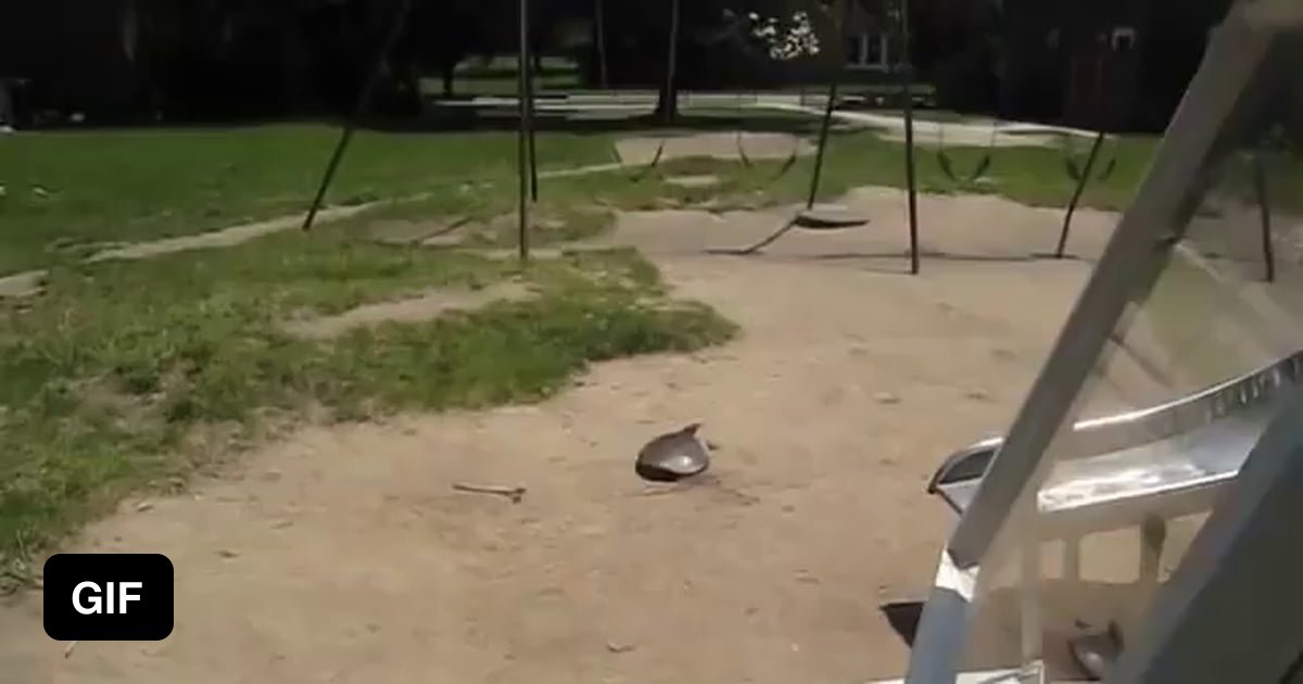 SUPER FAST TURTLE - 9GAG