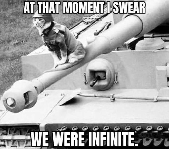 big-cats-love-9gag