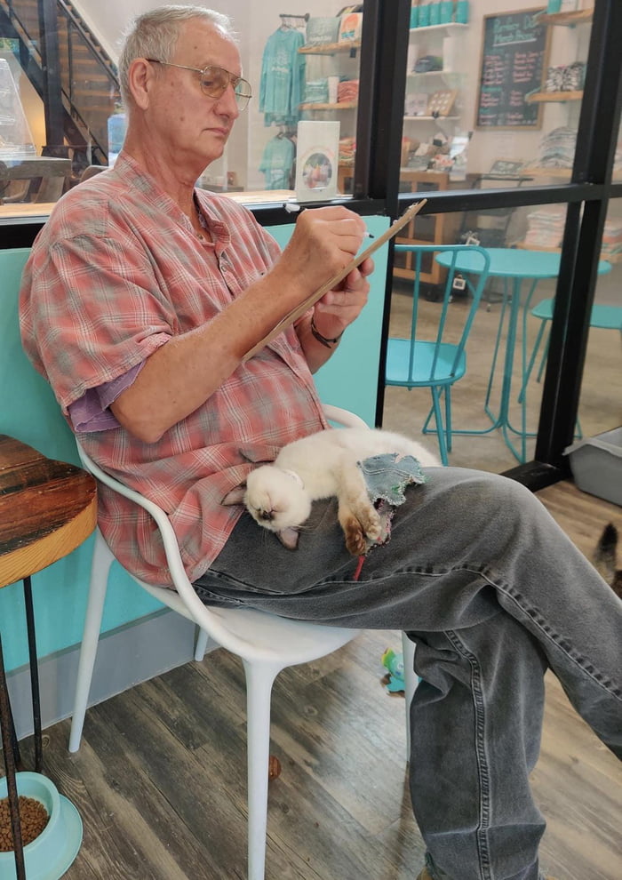 Someone at the Purrfect Day Cat Cafe in Louisville, KY filling out the paperwork to take this