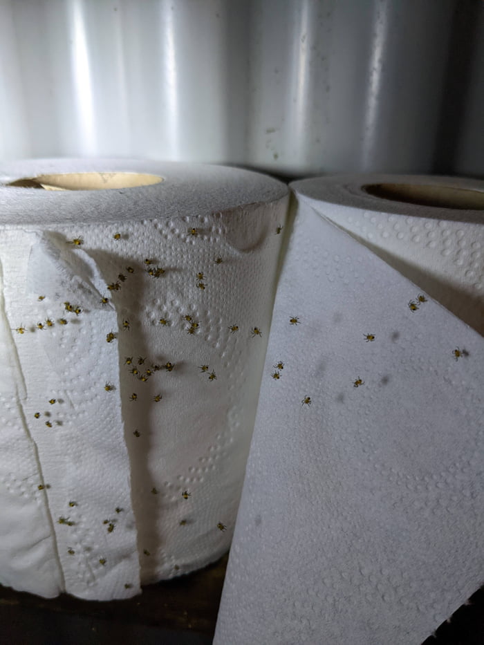 Went to the cabin bathroom in the middle of the night half asleep... 9GAG