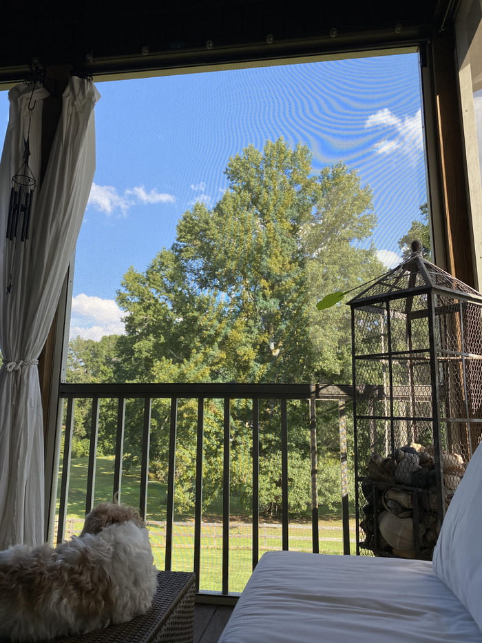 The Deck In The Afternoon Can Be Quite Cozy 9GAG the-deck-in-the-afternoon-can-be-quite-cozy-9gag