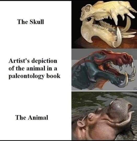 The evolution is real - 9GAG