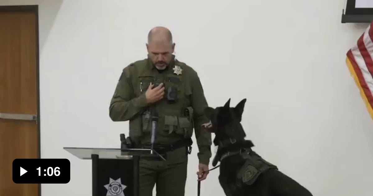 K9 Grimm is 107 and officially retired 9GAG