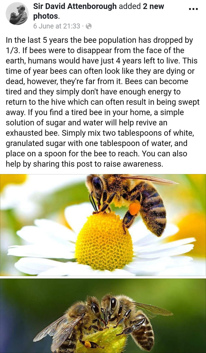 We need them bees... - 9GAG