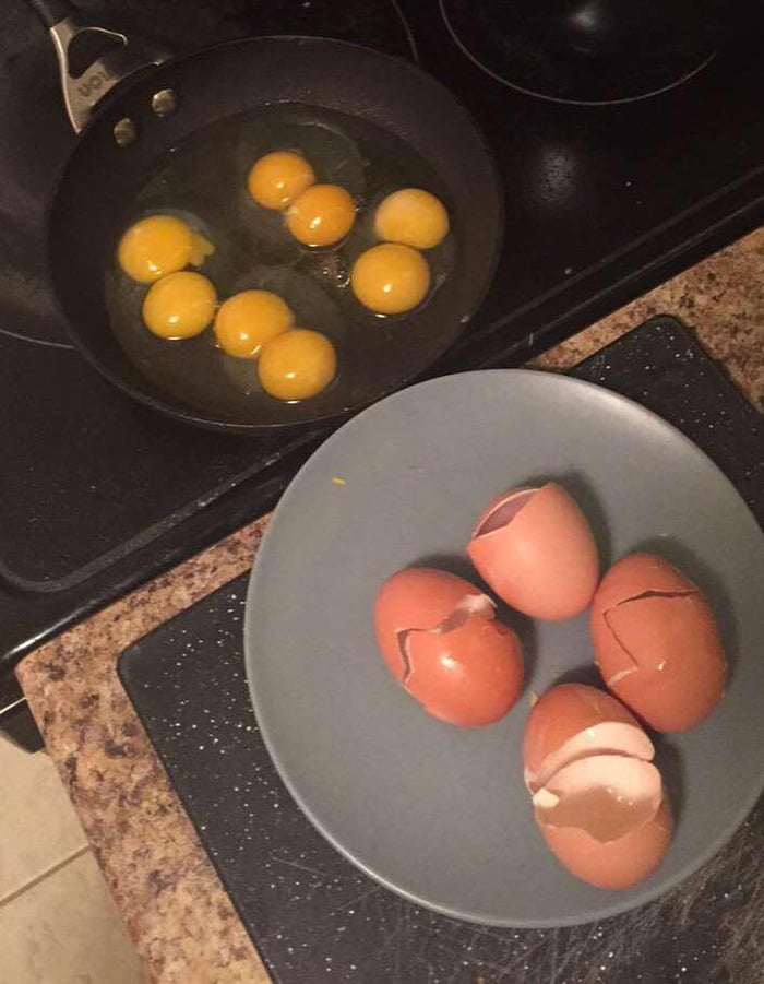 All four of my eggs were twins - 9GAG