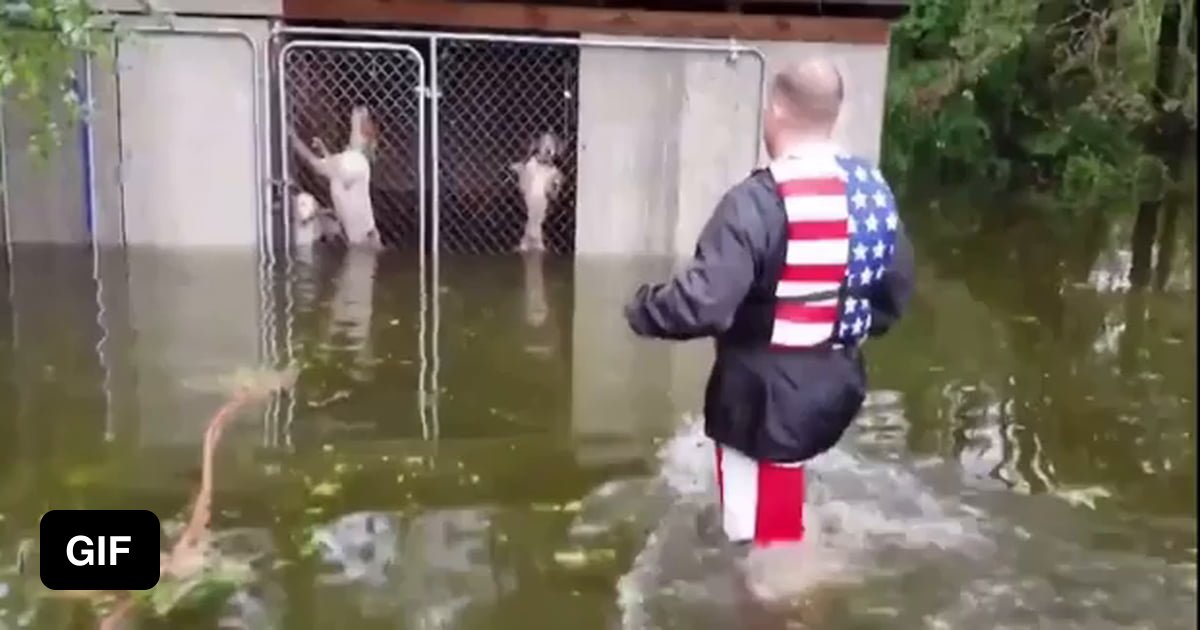 Hurricane Florence volunteers in North Carolina rescue dogs that were ...