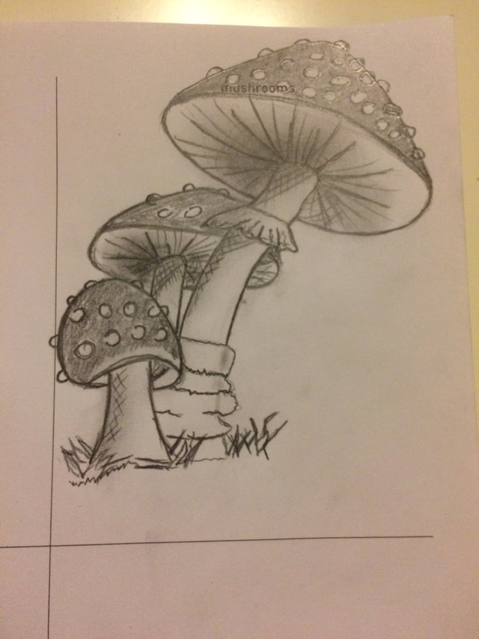 First attempt drawing mushrooms - 9GAG