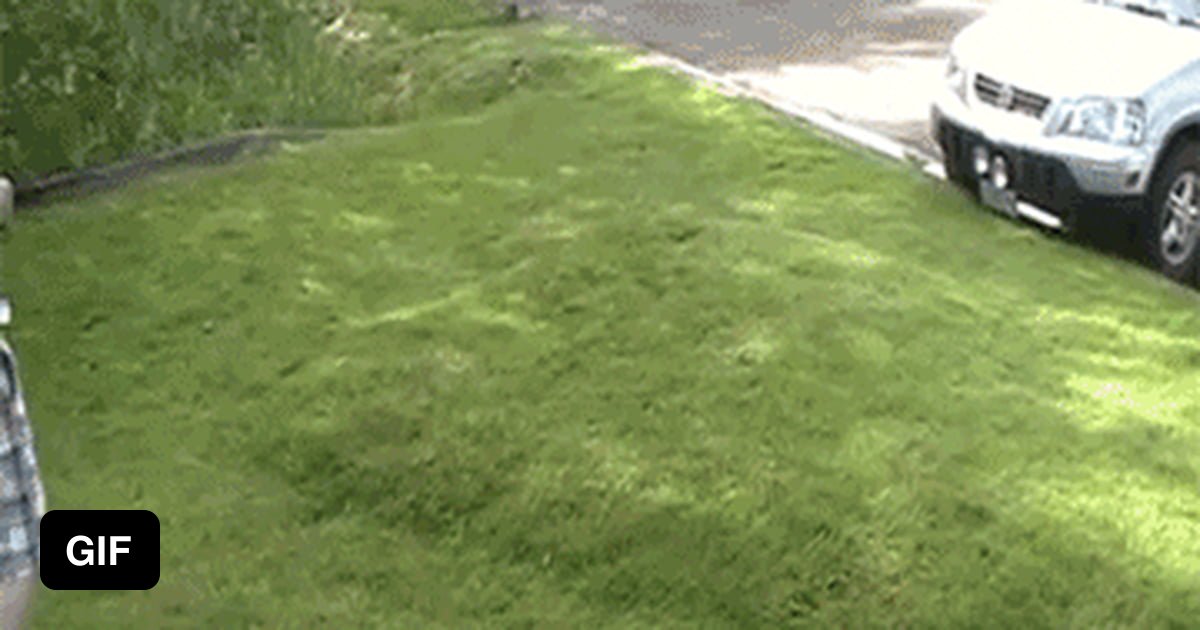 Water Bubble Under the Grass 9GAG