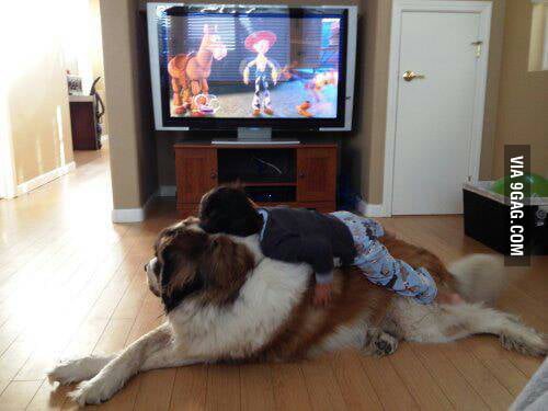 You've got a friend in me. - 9GAG
