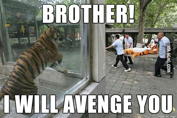 My first thought when I saw this photo - 9GAG