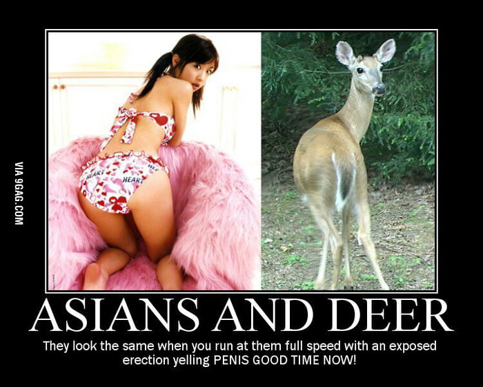 Asians and deer Sexblacksex ebony slut