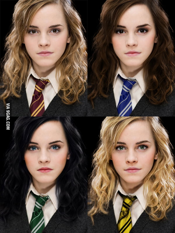 Hermione in different houses 9GAG