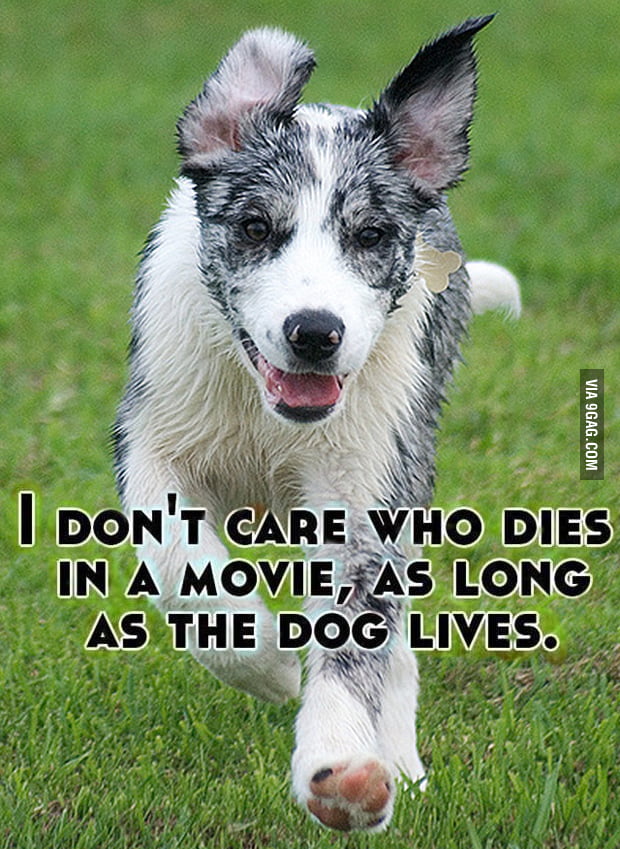 I don't care who dies in a movie - 9GAG