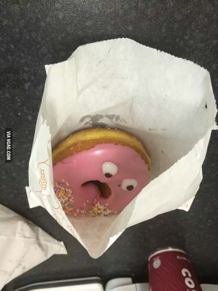 This Is The Most Horrified Doughnut I Ve Ever Seen Gag