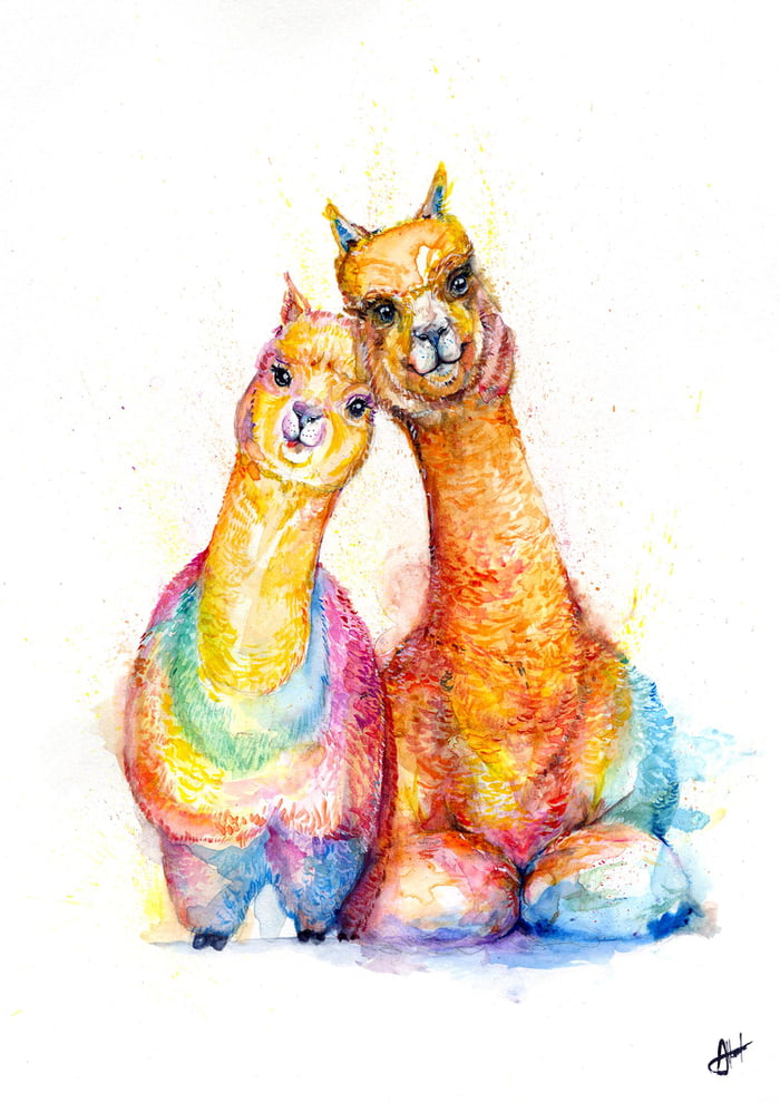 I Painted A Pair Of Alpacas Gag