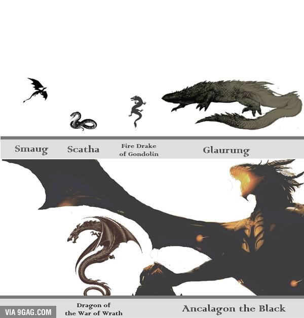 Smaug Mighty dragons of Middle-Earth Size comparision. Fire Drake Glaurung  Dragon ofthe Ancalagon Scatha Gondokn Woe of Wrath the Black MOTHER OF GOD  - iFunny Brazil