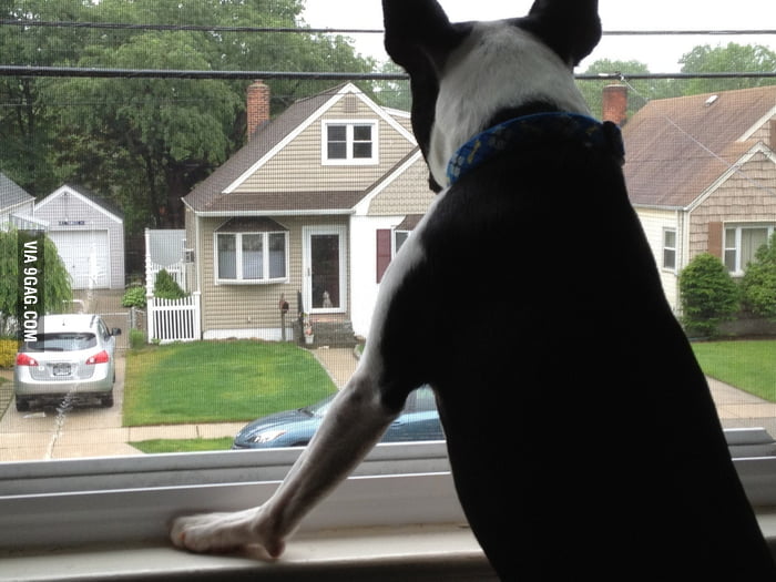 Crushing hard on the girl across the street. 9GAG