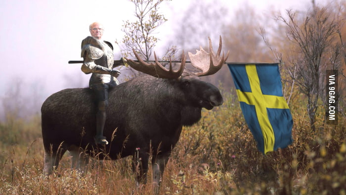 Special forces animals. The king of Sweden leading the moose cavalry ...