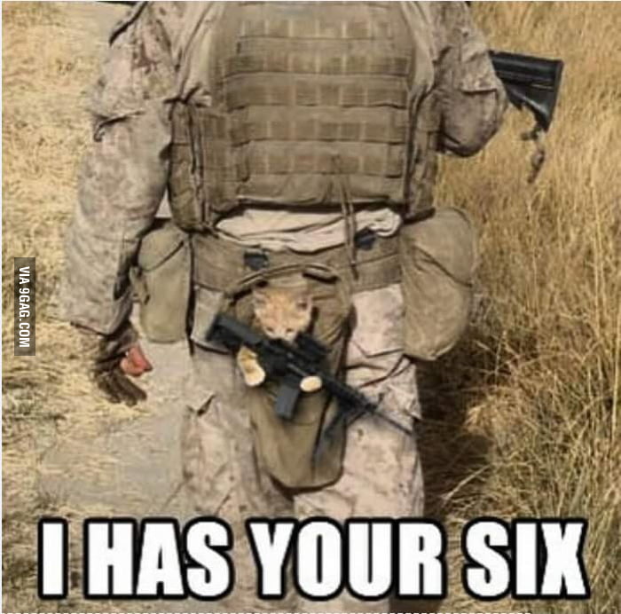 I has your six... - 9GAG