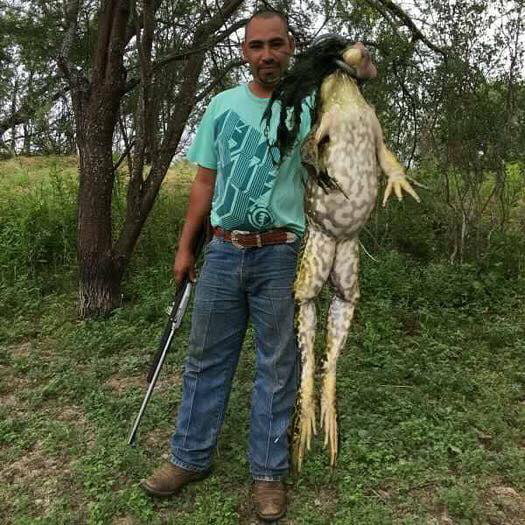 Как выглядит большой мире фото A FROG, Weight 6 KG, almost a adult human tall, found at South Texas - 9GAG