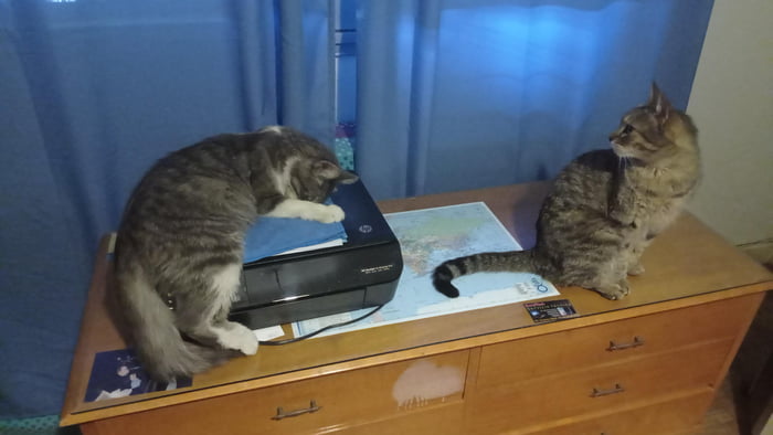 IT support team trying to get the printer to work - 9GAG