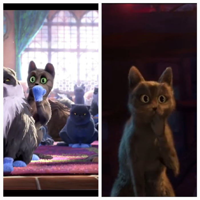 opmerking fout bijeenkomst The "oooh" cat makes a reappearance in Puss in Boots: The Last Wish (2022)  - 9GAG