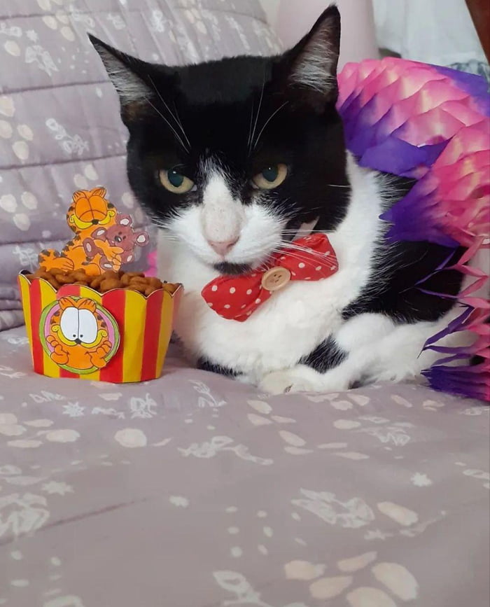 Today is Lili’s Birthday, we don’t know well how old she is, because we