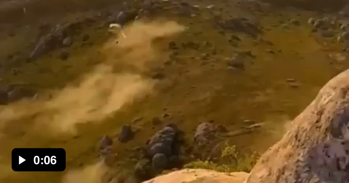 Hawk floating in the air without moving 9GAG