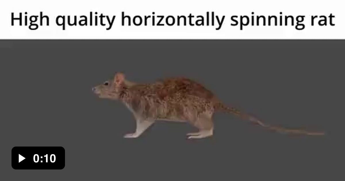 High quality horizontally spinning rat 9GAG