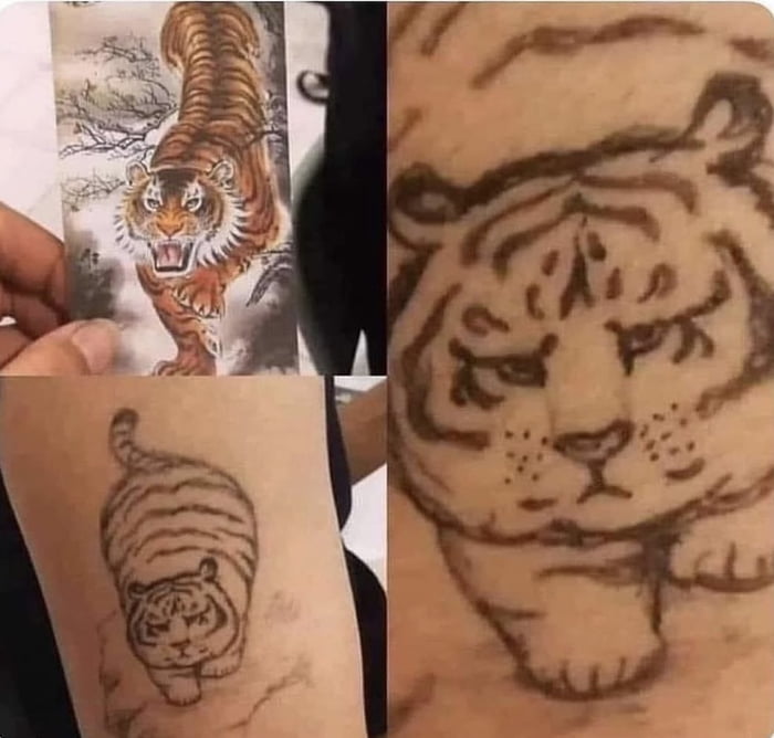 Crouching tiger, hidden dragon | Ying yang tattoo, Yin yang art, Tiger  tattoo
