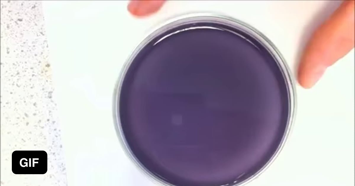This Is An Oscillating Chemical Reaction By 2024 It Is Still Not This Is An Oscillating Chemical Reaction By 2024 It Is Still Not