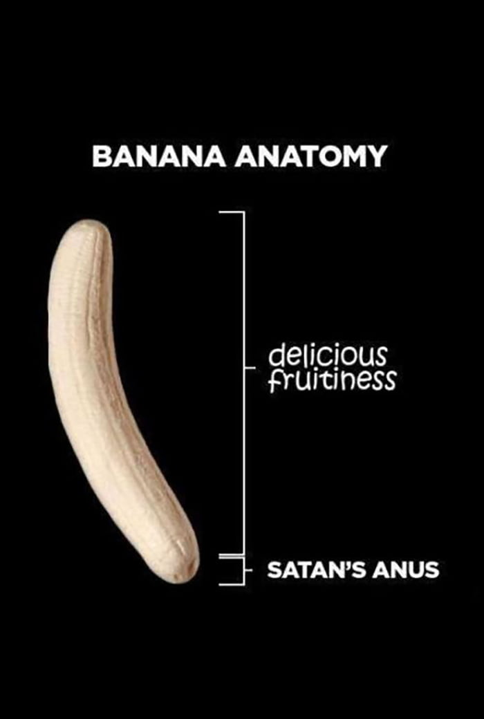 FUN FACT Bananas are considered to be "berries". 9GAG