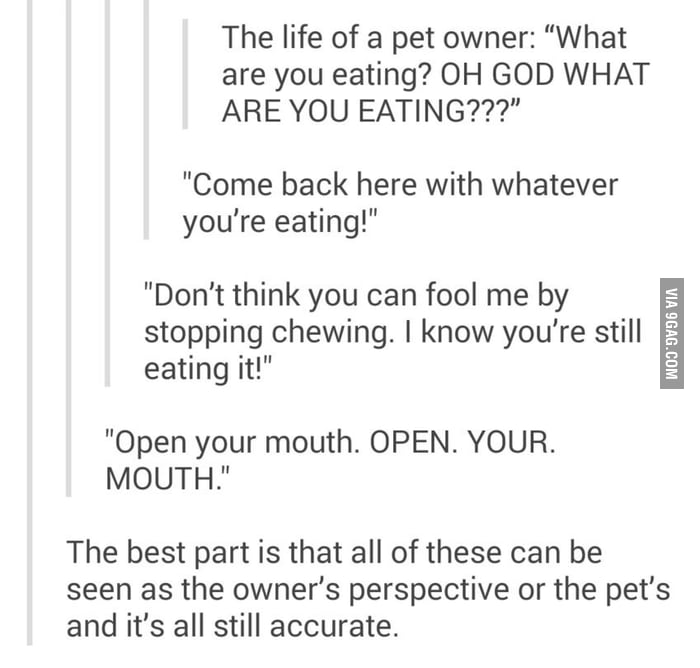 open-your-mouth-pls-9gag