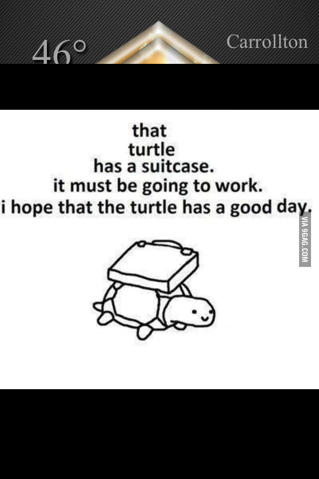 Turtle - 9GAG