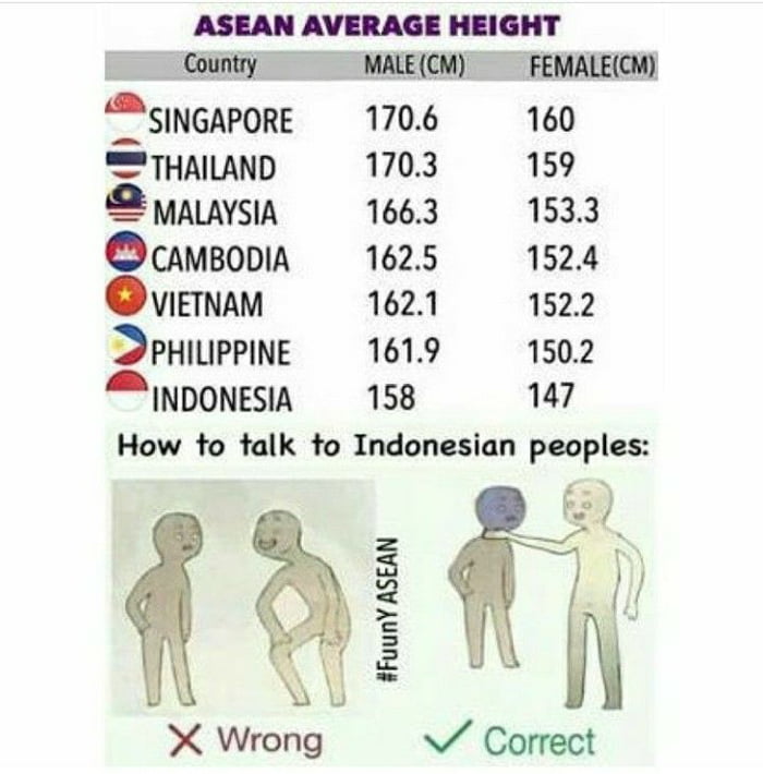 Average woman height. Us average height. Average female height. Average height age. Average human height.