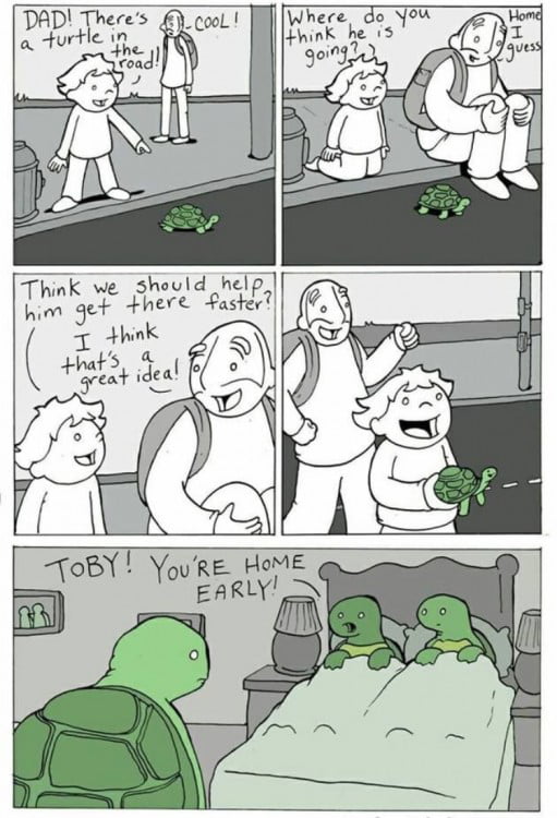 Turtles - 9GAG
