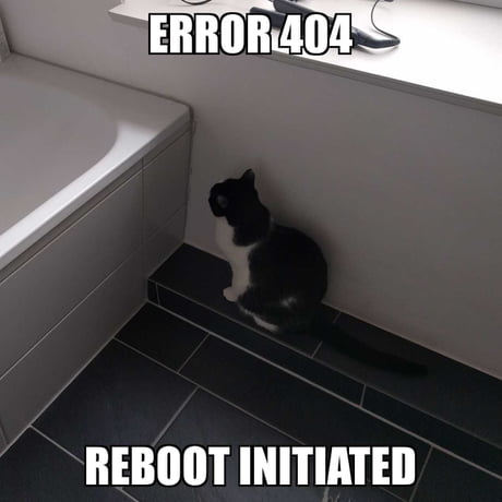 Best 30 Cat Poop Fun On 9gag