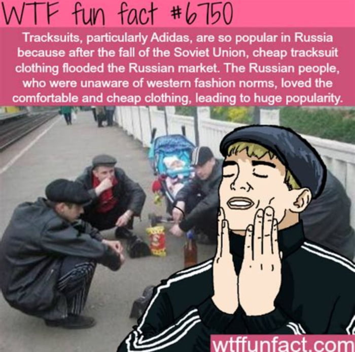 Why are you wearing a tracksuit. Slav memes. Russian WTF.