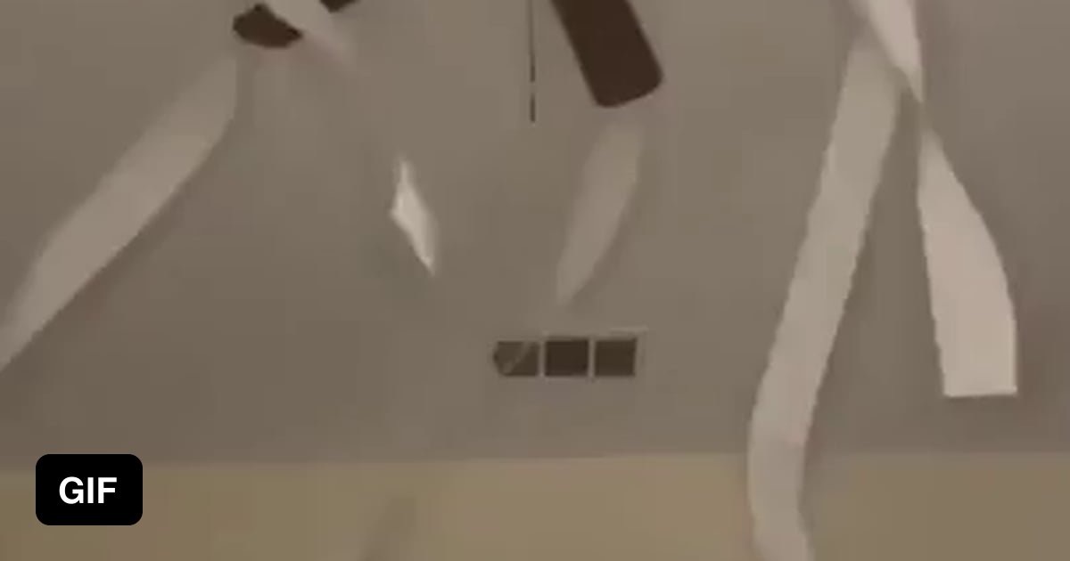 how to keep your cat busy