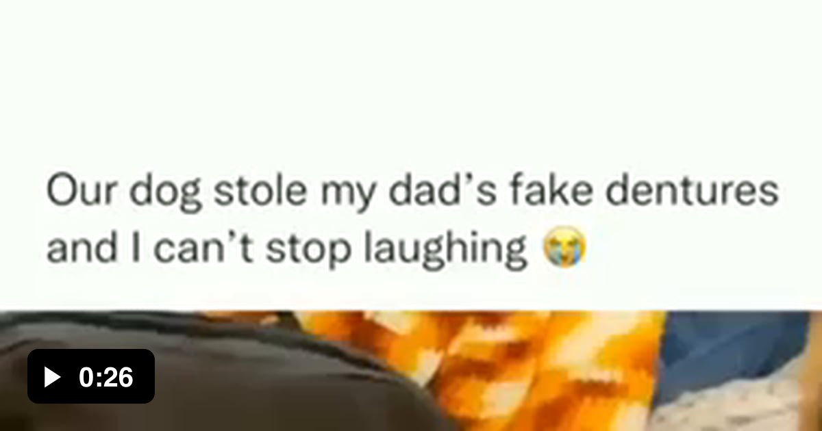 Dog steals dentures 9GAG